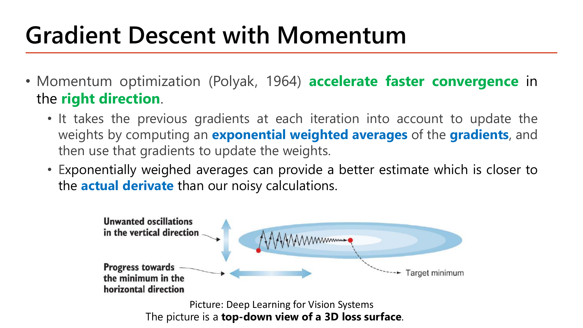 Slide Gradient Descent with Momentum: momentum optimization (Polyak 1964) accelerates faster convergence in the right direction by computing an exponential weighted average of the gradients, giving a better estimate closer to the actual derivative than noisy calculations; the picture is a top-down view of a 3D loss surface with unwanted oscillations in the vertical direction and progress towards the minimum in the horizontal direction