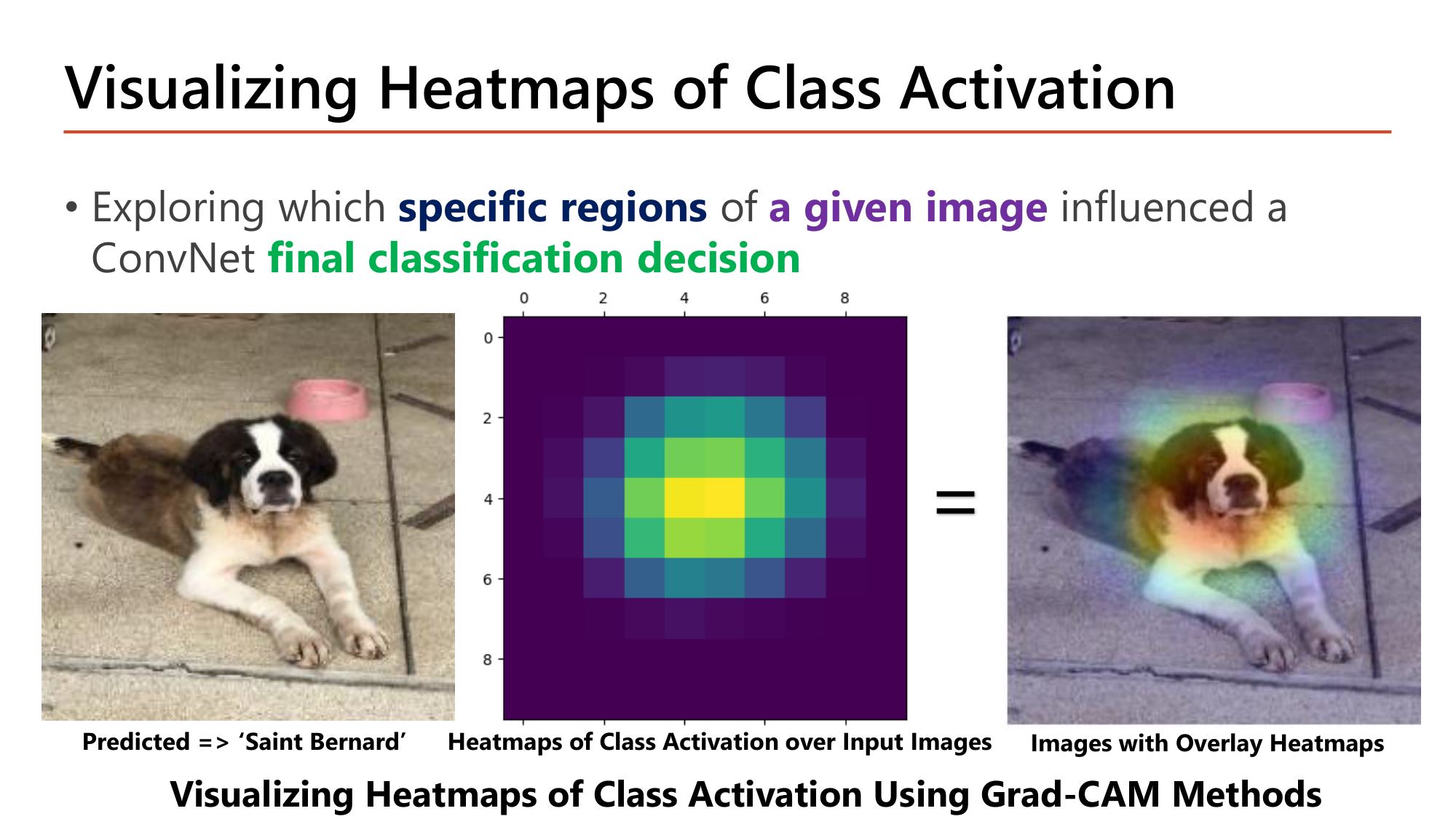 Slide: Visualizing Heatmaps of Class Activation. Exploring which specific regions of a given image influenced a ConvNet final classification decision. A dog image predicted as Saint Bernard, a heatmap of class activation over the input image, and the image with overlay heatmap concentrated on the dog's face. Visualizing heatmaps of class activation using Grad-CAM methods