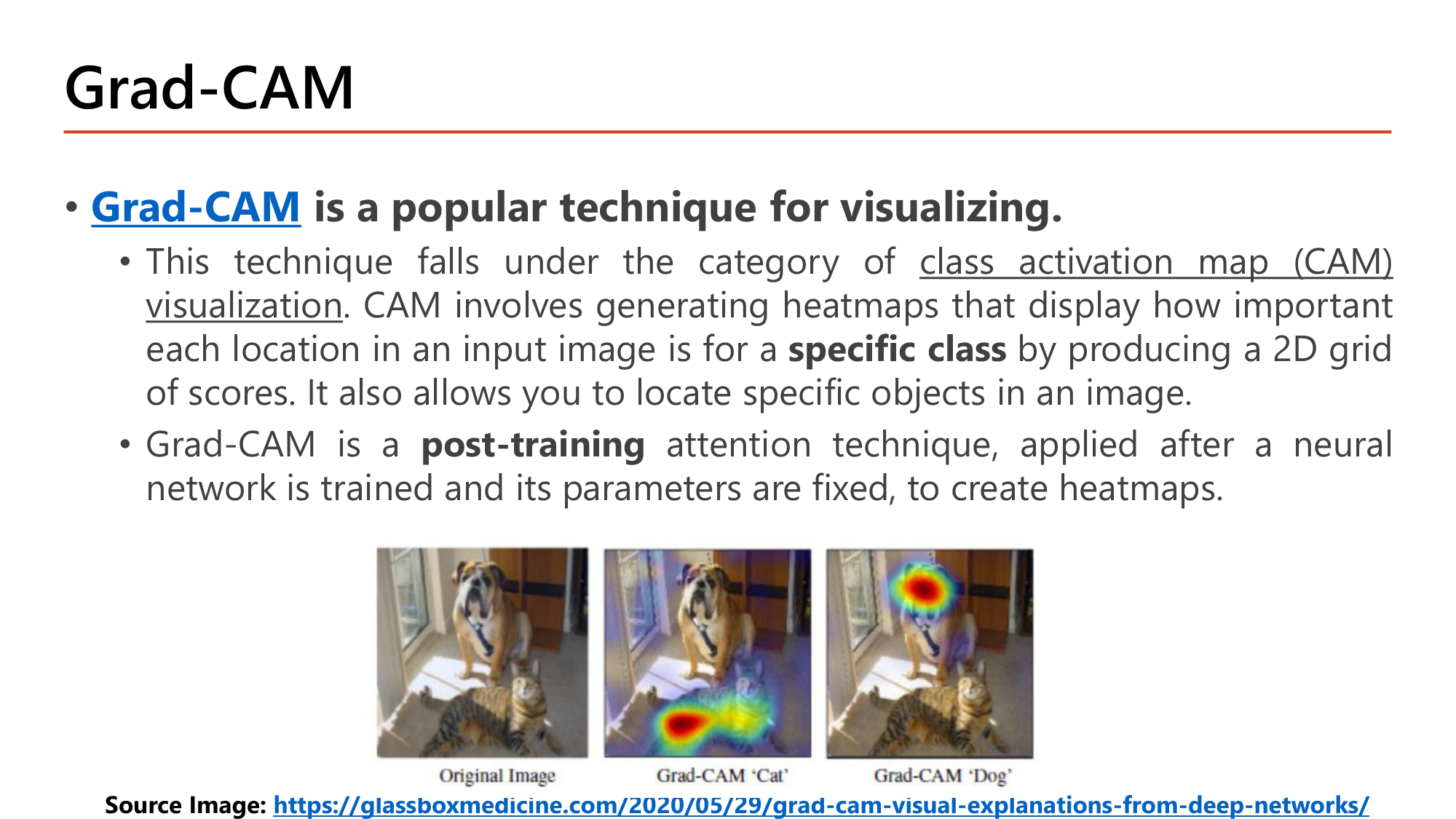 Slide: Grad-CAM is a popular technique for visualizing. It falls under class activation map (CAM) visualization: generating heatmaps that display how important each location in an input image is for a specific class by producing a 2D grid of scores; it also allows locating specific objects. Grad-CAM is a post-training attention technique applied after a network is trained and its parameters are fixed. Example: original image of a dog and a cat, Grad-CAM for Cat highlights the cat, Grad-CAM for Dog highlights the dog