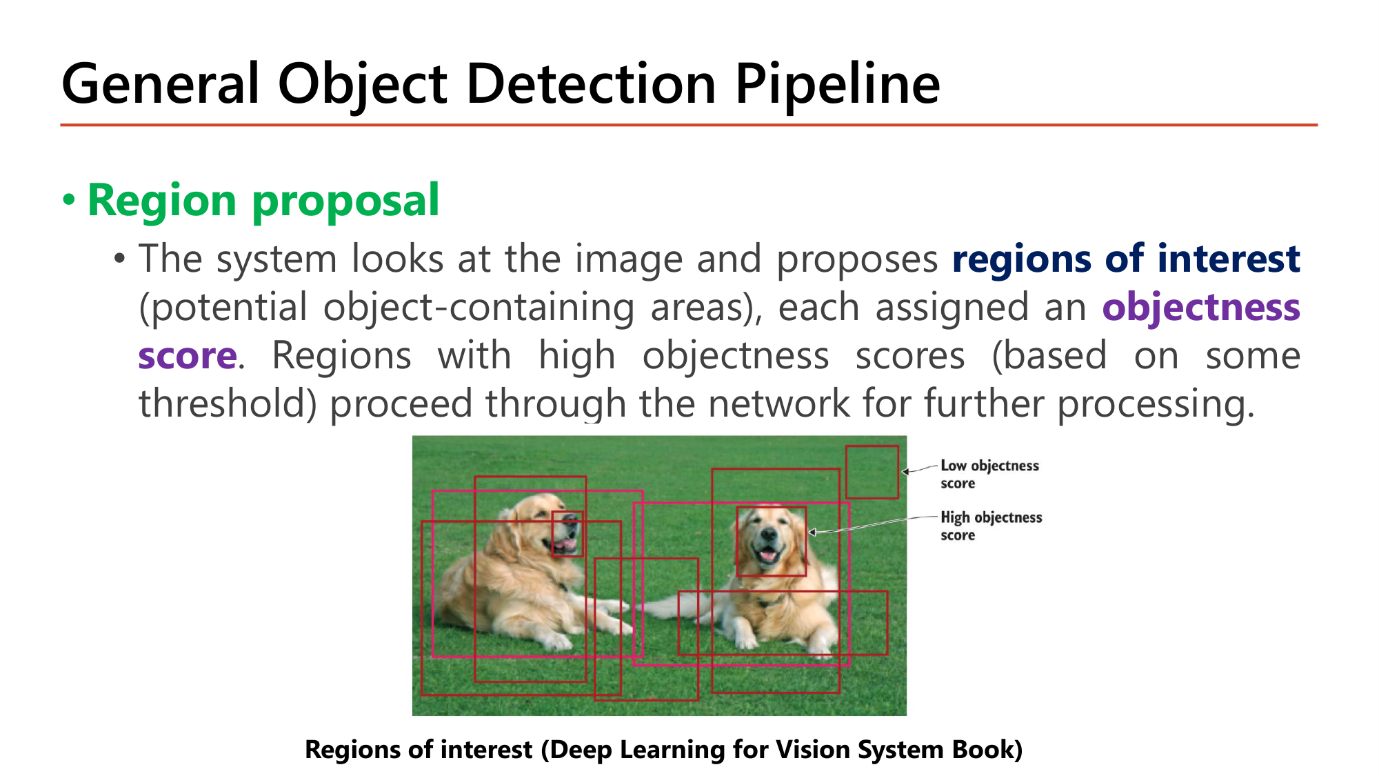 Slide: General Object Detection Pipeline. Region proposal: the system looks at the image and proposes regions of interest (potential object-containing areas), each assigned an objectness score. Regions with high objectness scores (based on some threshold) proceed for further processing. Image of two dogs with many boxes, some with low objectness score, some with high objectness score