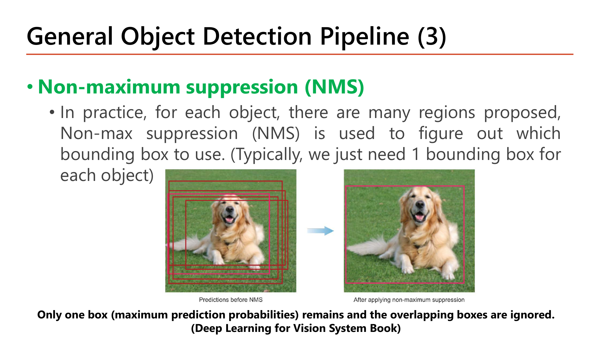 Slide: General Object Detection Pipeline (3). Non-maximum suppression (NMS): for each object many regions are proposed; NMS figures out which bounding box to use (typically 1 bounding box per object). Predictions before NMS show five boxes on the dog; after applying NMS only one box (maximum prediction probability) remains and the overlapping boxes are ignored