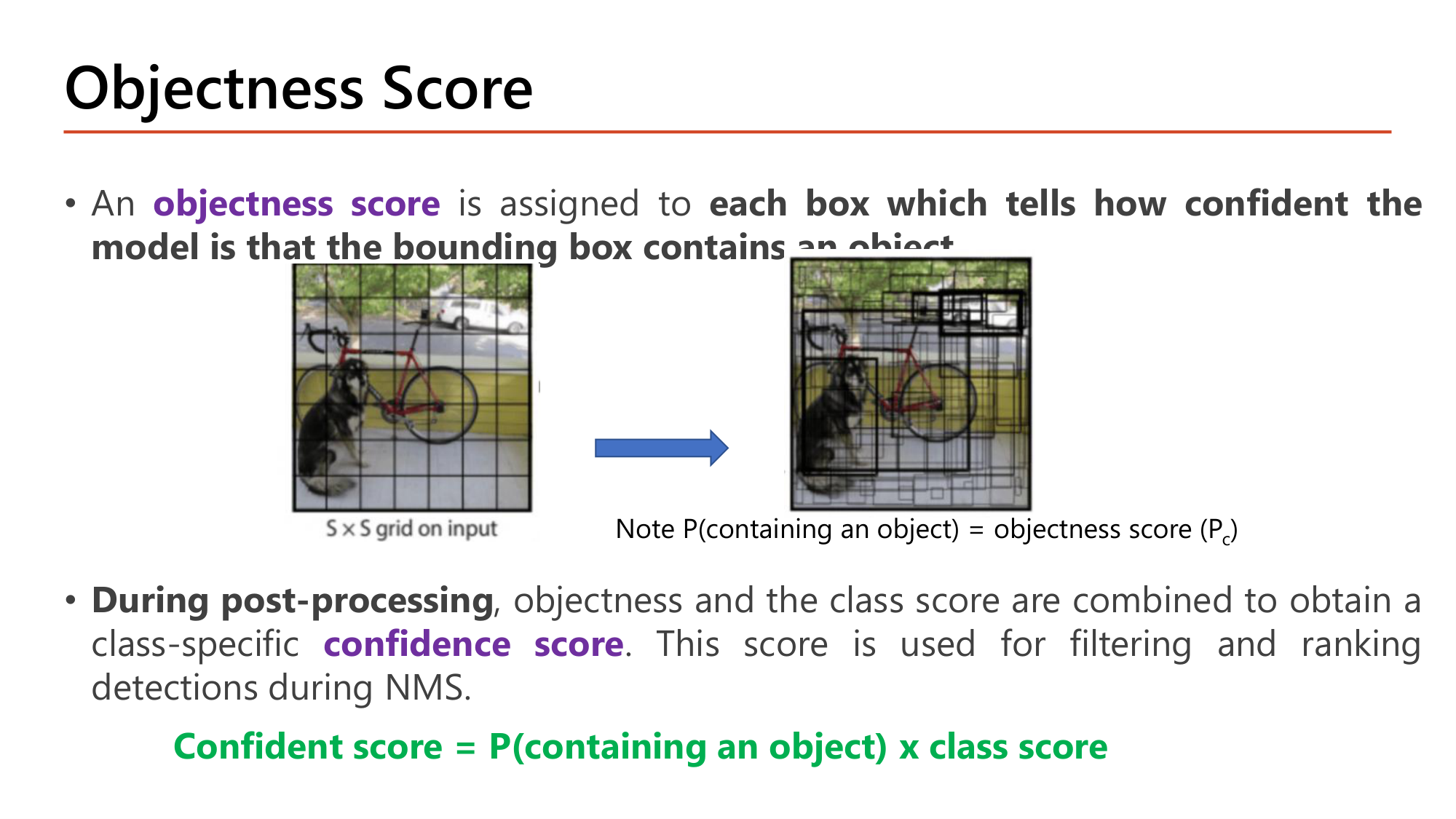 Slide: Objectness Score. An objectness score is assigned to each box which tells how confident the model is that the bounding box contains an object. P(containing an object) = objectness score (Pc). During post-processing, objectness and the class score are combined to obtain a class-specific confidence score, used for filtering and ranking detections during NMS. Confident score = P(containing an object) x class score. Image of a dog and bicycle with an SxS grid and many predicted boxes